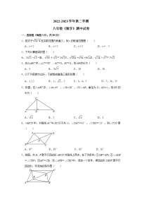 河南省新乡市河南师范大学附属中学2022-2023学年八年级下学期期中考试数学试卷（含答案）