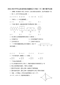 山东省青岛市城阳区2022-2023学年八年级下学期期中数学试卷（含答案）