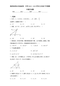 陕西省西安市高新第一中学2022—2023学年九年级下学期期中数学试题