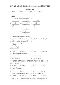 江苏省淮安市洪泽湖初级中学2022-2023学年七年级下学期期中数学试题（含答案）