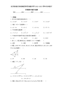 江苏省宿迁市宿城区钟吾初级中学2022-2023学年七年级下学期期中数学试题（含答案）