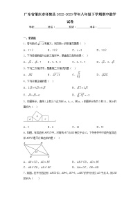 广东省肇庆市怀集县2022-2023学年八年级下学期期中数学试卷（含答案）