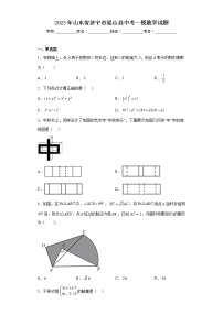 2023年山东省济宁市梁山县中考一模数学试题