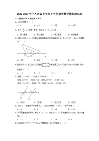 2022-2023学年人教版七年级下册期中数学模拟测试题