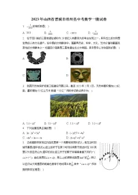 2023年山西省晋城市泽州县中考数学一模试卷(含答案解析)