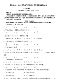 广西壮族自治区百色市靖西市2022-2023学年八年级下学期4月期中数学试题