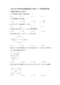 河北省廊坊市第四中学2022-2023学年八年级下学期期中数学试卷（含答案）