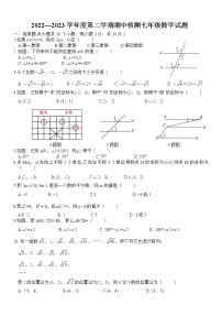 山东省济宁市邹城市2022-2023学年七年级下学期期中检测数学试题（含答案）