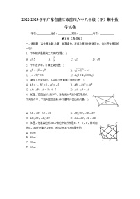 广东省湛江市雷州六中2022-2023学年八年级下学期期中数学试卷