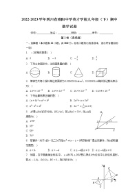 四川省绵阳中学英才学校2022-2023学年九年级下学期期中数学试卷