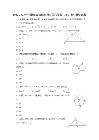 2022-2023学年浙江省杭州市萧山区九年级（下）期中数学试卷（含解析）