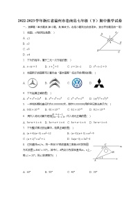 2022-2023学年浙江省温州市苍南县七年级（下）期中数学试卷（含解析）