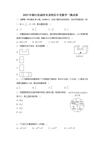 2023年浙江省温州市龙湾区中考数学一模试卷（含解析）