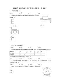 2023年浙江省温州市文成县中考数学一模试卷(含答案解析)