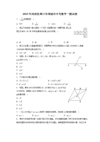 2023年河南省周口市项城市中考数学一模试卷(含答案解析)