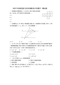 2023年河南省驻马店市泌阳县中考数学一模试卷(含答案解析)