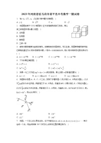 2023年河南省驻马店市遂平县中考数学一模试卷(含答案解析)