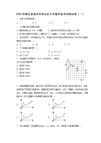 2023年湖北省武汉市青山区中考数学备考训练试卷（一）(含答案解析)