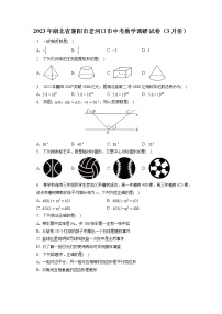 2023年湖北省襄阳市老河口市中考数学调研试卷（3月份）(含答案解析)