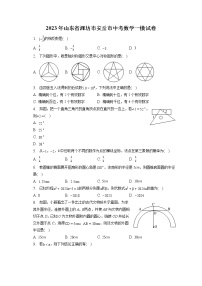 2023年山东省潍坊市安丘市中考数学一模试卷(含答案解析)