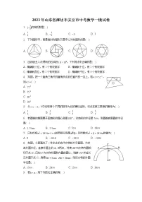 2023年山东省潍坊市安丘市中考数学一模试卷(含答案解析)