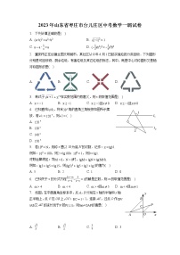 2023年山东省枣庄市台儿庄区中考数学一调试卷(含答案解析)