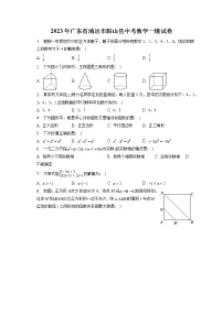 2023年广东省清远市阳山县中考数学一模试卷（含答案解析）