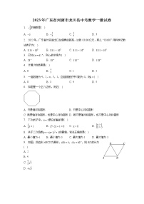 2023年广东省河源市龙川县中考数学一模试卷（含答案解析）