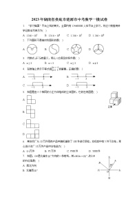 2023年湖南省娄底市涟源市中考数学一模试卷（含答案解析）