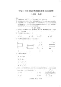 2023年4月广东省深圳市宝安区初三二模数学