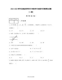 2022-2023学年安徽省蚌埠市中考数学专项提升仿真模拟试题（一模二模）含答案