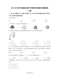 2022-2023学年安徽省合肥市中考数学专项提升仿真模拟卷（一模二模）含答案