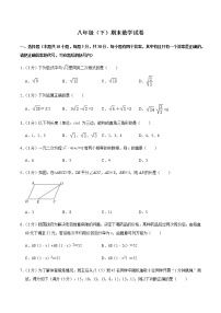 沪科版数学八年级下册 期末数学试卷 及答案解析5