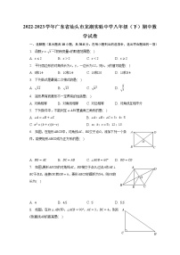 2022-2023学年广东省汕头市龙湖实验中学八年级（下）期中数学试卷（含解析）