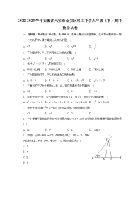 2022-2023学年安徽省六安市金安区轻工中学八年级（下）期中数学试卷（含解析）