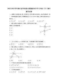 2022-2023学年浙江省华东师大附属杭州中学七年级（下）期中数学试卷（含解析）