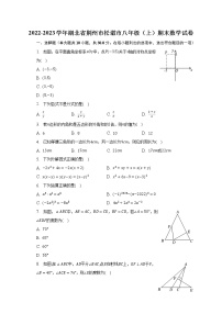 2022-2023学年湖北省荆州市松滋市八年级（上）期末数学试卷（含解析）