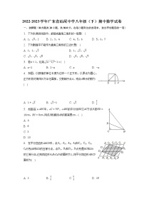 2022-2023学年广东省汕尾中学八年级（下）期中数学试卷（含解析）