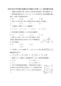 2022-2023学年浙江省嘉兴市平湖市八年级（上）期末数学试卷（含解析）