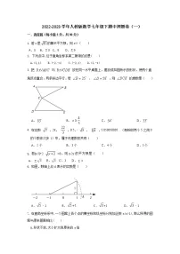 2022-2023学年人教版数学七年级下期中押题卷（一）