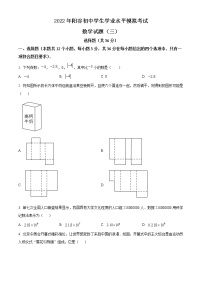 精品解析：2022年册东省聊城市阳谷县中考三模数学试题 （原卷版）