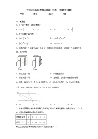 2023年山东枣庄薛城区中考一模数学试题