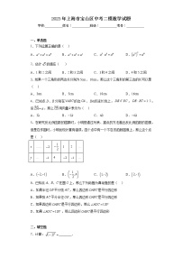 2023年上海市宝山区中考二模数学试题