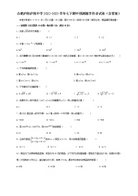 安徽省合肥市庐阳区庐阳中学2022-2023学年七年级下学期期中预测数学作业试卷(含答案)