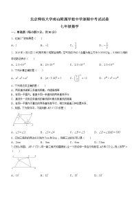 广东省深圳市北京师范大学南山附属学校中学部2022-2023学年七年级下学期期中考试数学试卷(含答案)