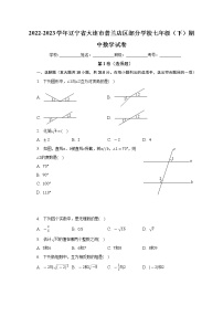 辽宁省大连市普兰店区部分学校2022-2023学年下学期七年级期中数学试卷(含答案)