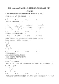 陕西省宝鸡市陇县2022-2023学年七年级下学期期中教学质量检测数学试题(含答案)