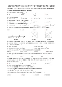 安徽省合肥市庐阳区庐阳中学2022-2023学年八年级下学期期中摸底数学作业试卷 (含答案)