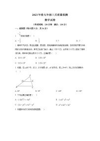 湖北省咸宁市部分学校联考2023届九年级3月质量检测数学试卷(含解析)