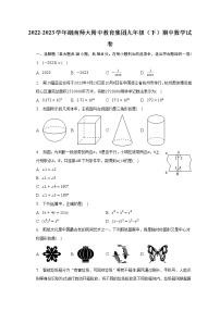 2022-2023学年湖南师大附中教育集团九年级（下）期中数学试卷（含解析）